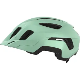 Alpina Paranus 55-59 cm grün matt 2025