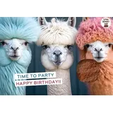 Brunnen Verlag GmbH / Brunnen-Verlag, Gießen Time to party - Happy birthday