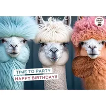 Brunnen Verlag GmbH / Brunnen-Verlag, Gießen Time to party - Happy birthday