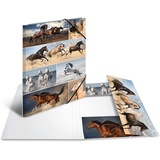 Herma Sammelmappe Tiere A3 pferde