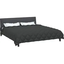vidaXL Winterbettdecke Anthrazit 220 x 260 cm Mikrofaser