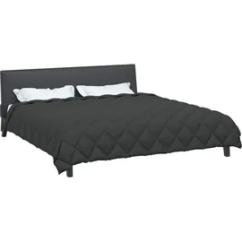 vidaXL Winterbettdecke Anthrazit 220 x 260 cm Mikrofaser