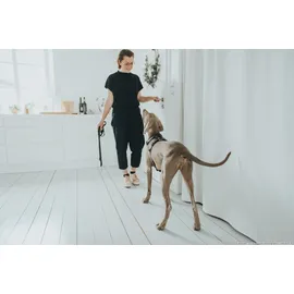 Hunter Geschirr Aalborg