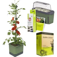 Gusta Garden Tomaten-Starter-Set 5-teilig dunkelgrün