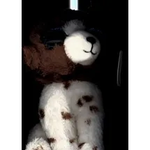 Ty Beanie Boo Muddles Dog Reg