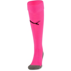 PUMA Team Liga Core Stutzenstrümpfe fluo pink 39-42