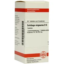 Solidago Virgaurea D 6 Tabletten 80 St