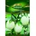 Quedlinburger Saatgut Topf-Aubergine, White Egg Quedlinburger Saatgut Samen 290201