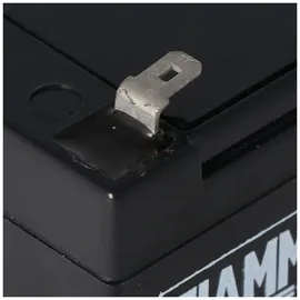 Fiam FG20121 12 Volt 1200 mAh 1 St.