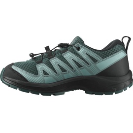 Salomon Xa Pro V8 Hiking Shoes grün EU 36