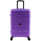 Gladiator 2700 4-Rollen 64 cm / 64 l lila