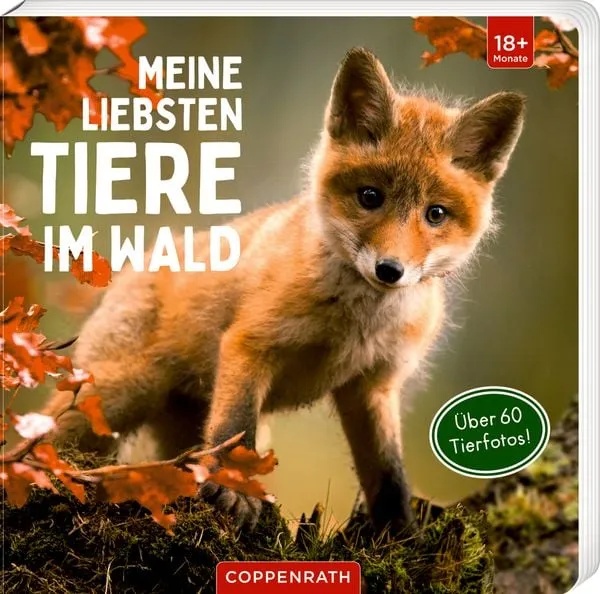 Preisvergleich Produktbild Meine liebsten Tiere im Wald