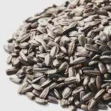 Gärtnertraum Gestreifte Sonnenblumenkerne - Hochenergiemisch für Gartenvögel - Perfekt für Futterstellen und Naturfreunde