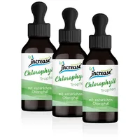 Increase Liposomales Chlorophyll Tropfen 1000 mg 180 ml