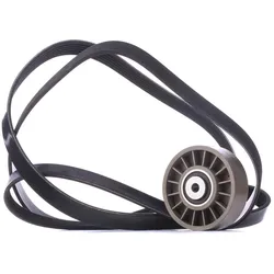 RIDEX Keilrippenriemensatz MERCEDES-BENZ,PUCH 542R0323