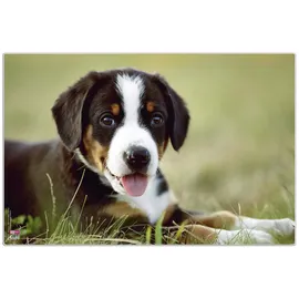 Veloflex Schreibtischunterlage Welpe Kunststoff 60,0 x 40,0 cm, 1 St.