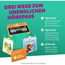 Tiger Media Tigerbox Touch Plus grün