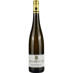 Nierstein Riesling trocken Weingut Kühling-Gillot 2017 BIO