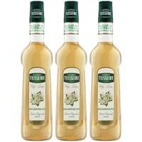 Mathieu Teisseire Getränke-Sirup Holunderblüte 0,7L (3er Pack)