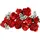 LEGO Botanicals Icons Rosenstrauß 10328