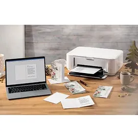 Sigel Weihnachtskarten Red Berries and pine Cones DIN A6