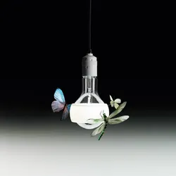 Johnny B. Butterfly