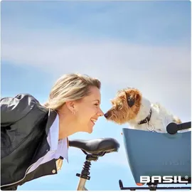 Basil Buddy Fahrradkorb schwarz