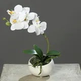 mucplants Kunstblume Orchidee Phalaenopsis in Keramikschale, Creme, ca. 25cm künstliche Orchidee mit Natural-Touch Blüten, Zimmer-, Tischdekoration