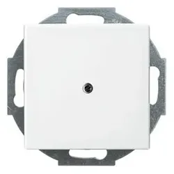 Zentralplatte Kabelausl Busch-balance SI aws glz Krallen/Schraubbef
