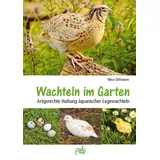 Pala Wachteln im Garten