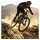 srsuntour Federgabel SR Suntour SF21 DUROLUX 38 EQ Boost R2C2 29 Zoll schwarz matt taper AHead 15mm 180mm