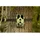 Camouflage EZ45 Camouflage Grau