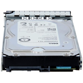 Dell 529FG Interne Festplatte 3.5" 4 TB SAS