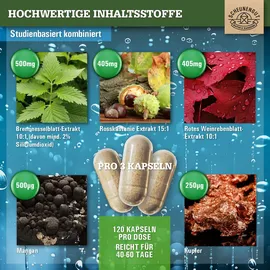 Scheunengut Wasserausgleich Kapseln 120 St.