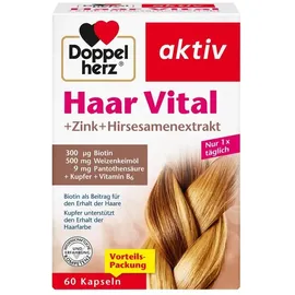 Doppelherz Aktiv Haar Vital + Zink + Hirseextrakt Kapseln 60 St.