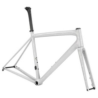 Specialized S-works Aethos 2023 Road Frame Silber 56