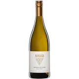 Nittnaus Selection Grüner Veltliner 2025