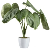Creativ green Künstliche Zimmerpflanze »Hosta-Busch im Keramiktopf«, grün