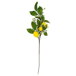 Zitronen-Zweig, 70 cm