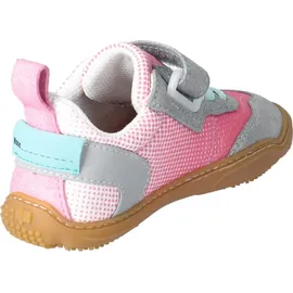 qnuffs Fichte Rosa 25