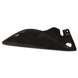 TRIUMPH Carbonteile Triumph Speed Triple 11-15