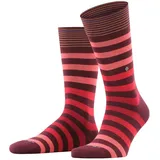 Burlington Herren Socken - Blackpool, Baumwolle, Streifen, Logo, One Size Bordeaux/Rot