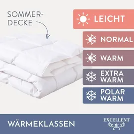 Excellent Daunenbettdecke + 3-Kammer-Kopfkissen "Venedig, 2-tlg, hergestellt in Deutschland, verschiedene Größen", weiß, B/L: 135cm x 200cm Anzahl Teile 1, B/L: 80cm x 80cm Anzahl Teile 1, Bezug: Baumwolle Füllung: Entendaune/-feder, leicht, Bettdecken Bezug: 100%
