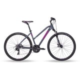 Head Damen I-Peak I Crossbike, Grau matt/pink, 54 cm