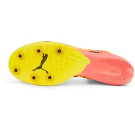 Puma Evospeed Distance Nitro Elite+ 2 Herren Bunt 46
