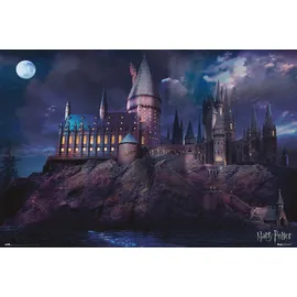ERIK Poster Harry Potter Hogwarts