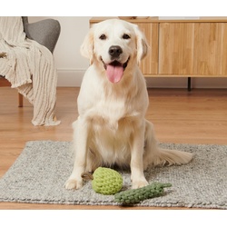 Tchibo - Hundespielzeug Apfel-Zucchini - olivgrün
