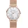 Paul Valentine Damen Armbanduhr - Rose Gold Seashell Mesh - PV36511