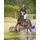 QHP QCross Eventing Gamaschen hinten M Blau