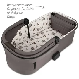 ABC-Design Salsa 5 Marron